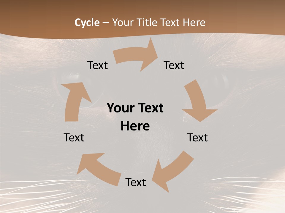 Stare Attention Space PowerPoint Template