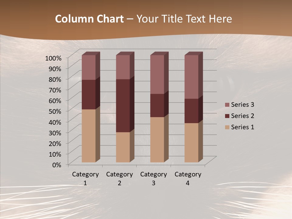 Stare Attention Space PowerPoint Template