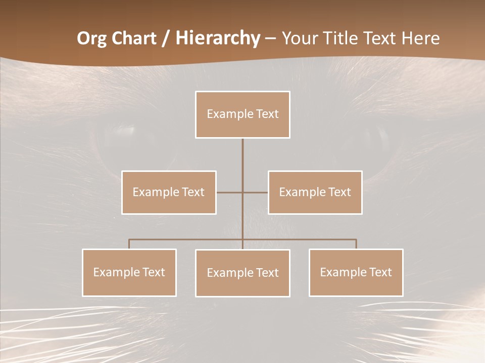 Stare Attention Space PowerPoint Template