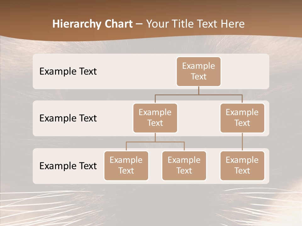 Stare Attention Space PowerPoint Template