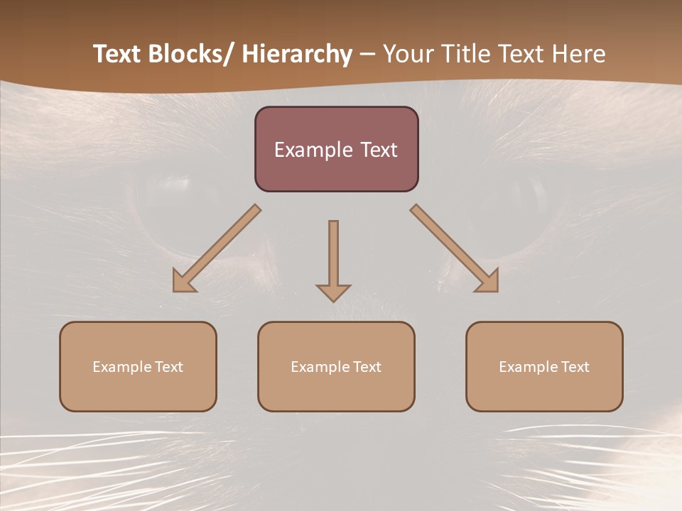 Stare Attention Space PowerPoint Template
