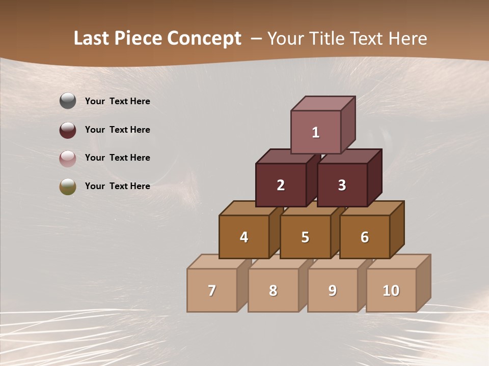 Stare Attention Space PowerPoint Template