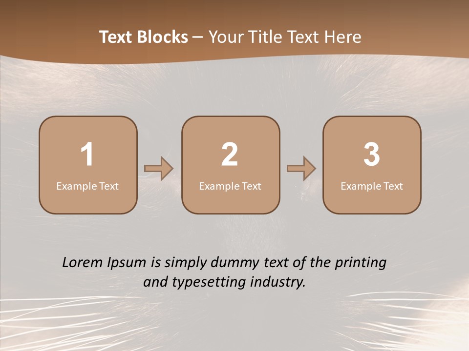 Stare Attention Space PowerPoint Template