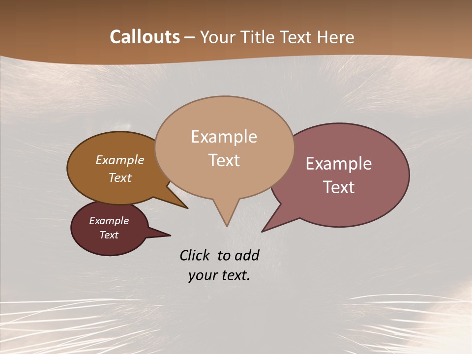 Stare Attention Space PowerPoint Template