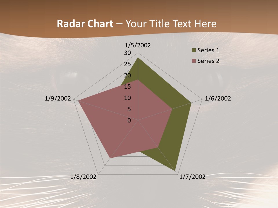 Stare Attention Space PowerPoint Template
