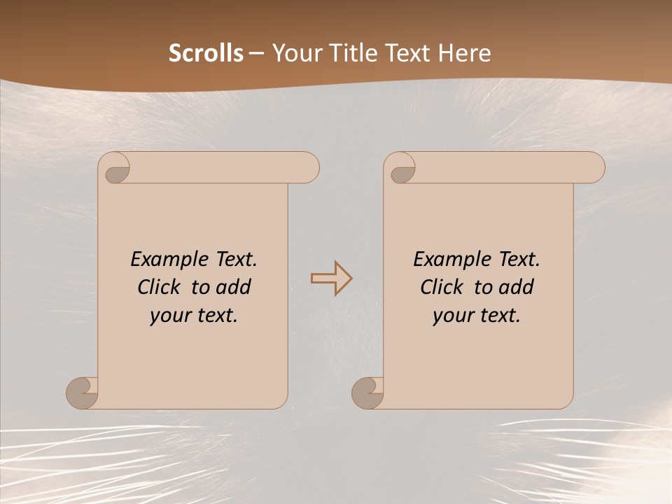 Stare Attention Space PowerPoint Template