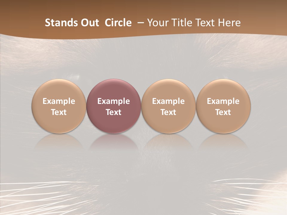 Stare Attention Space PowerPoint Template