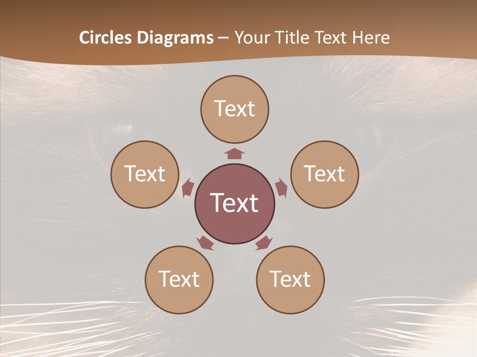 Stare Attention Space PowerPoint Template