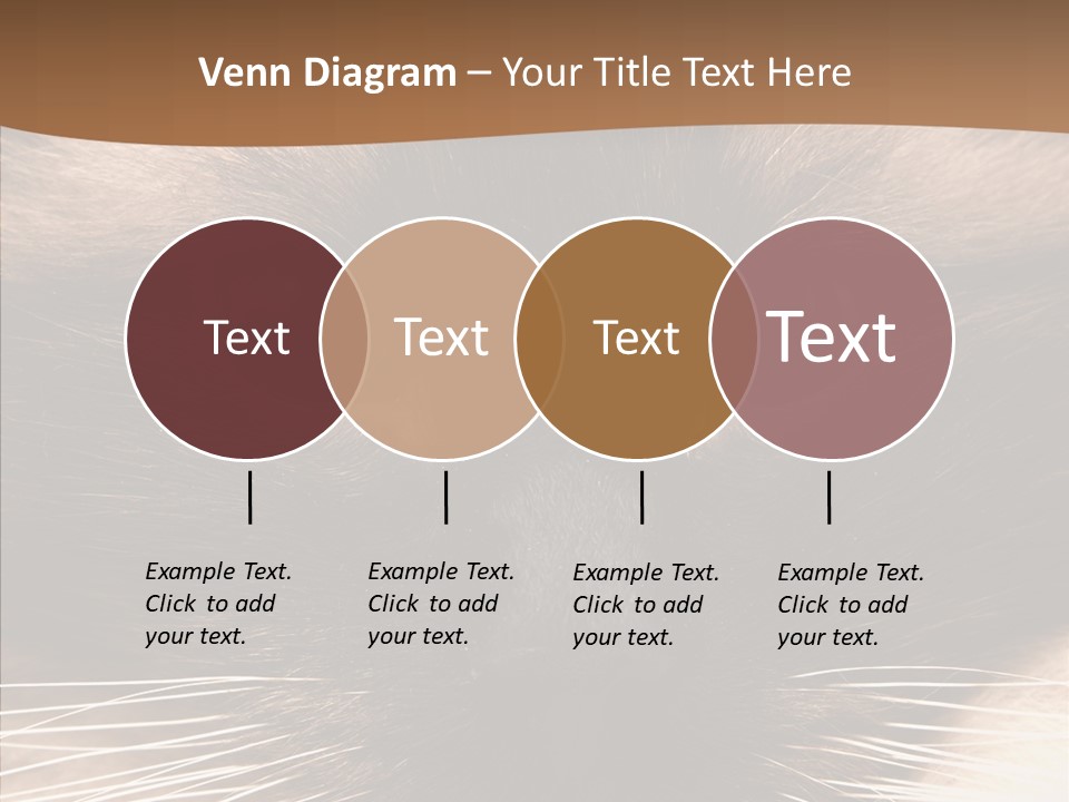 Stare Attention Space PowerPoint Template
