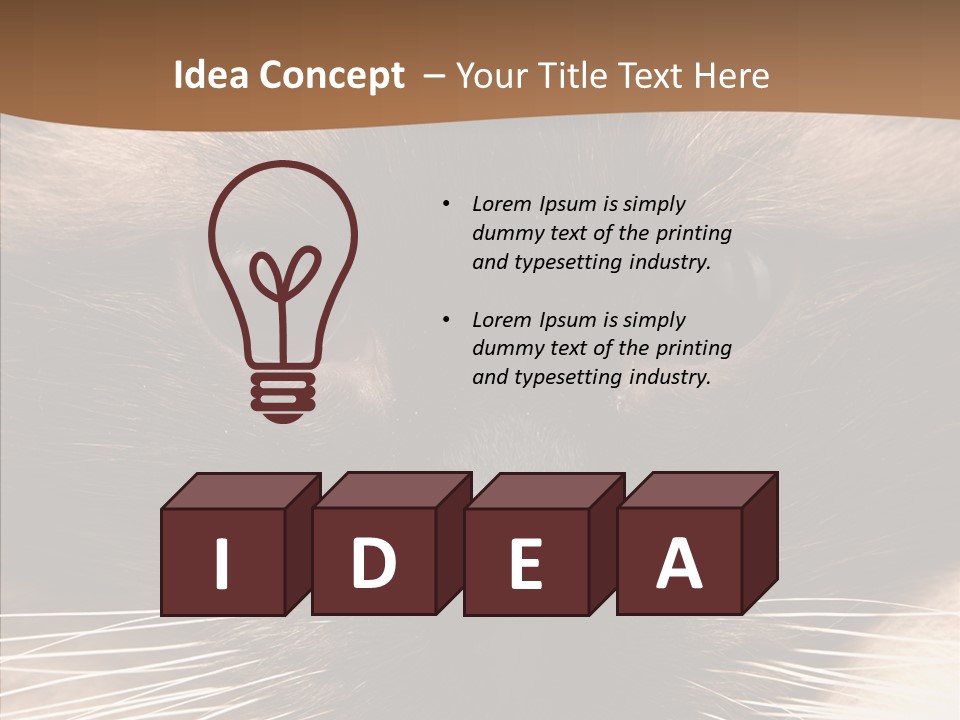 Stare Attention Space PowerPoint Template