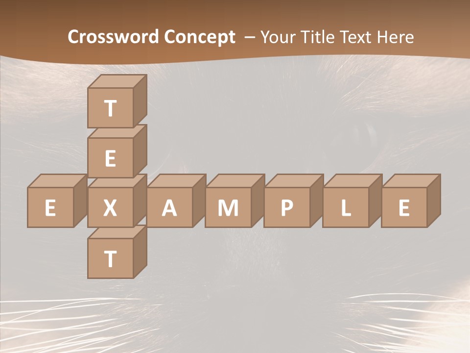 Stare Attention Space PowerPoint Template