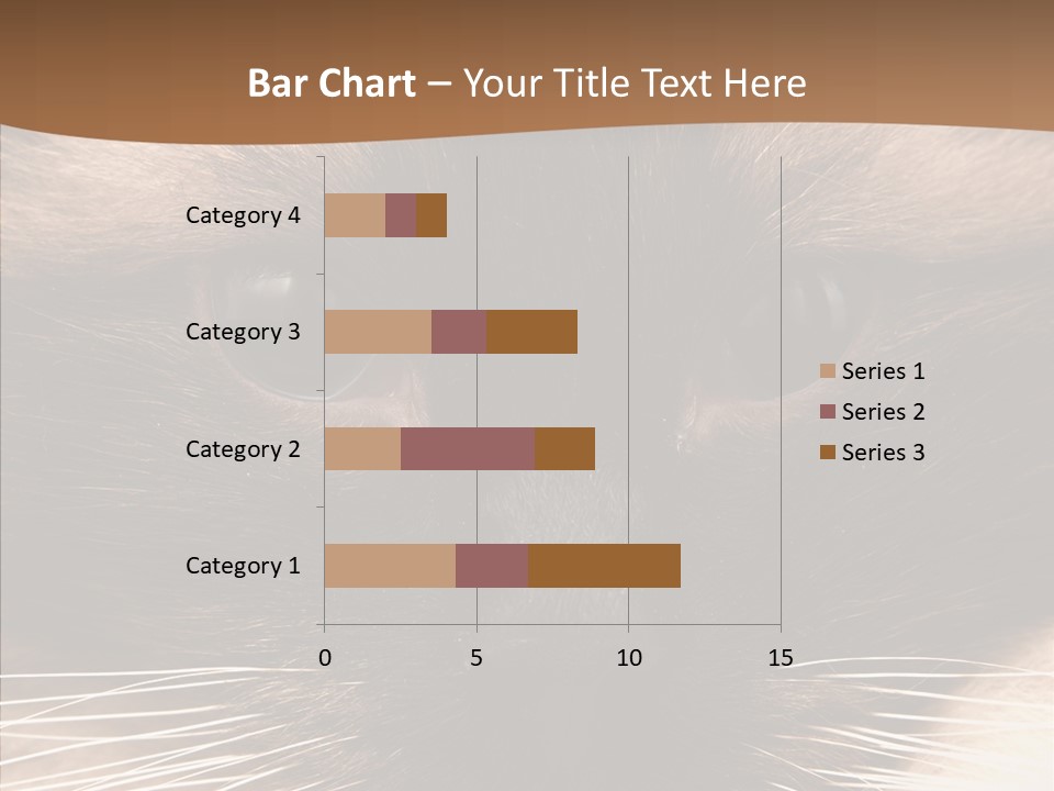 Stare Attention Space PowerPoint Template
