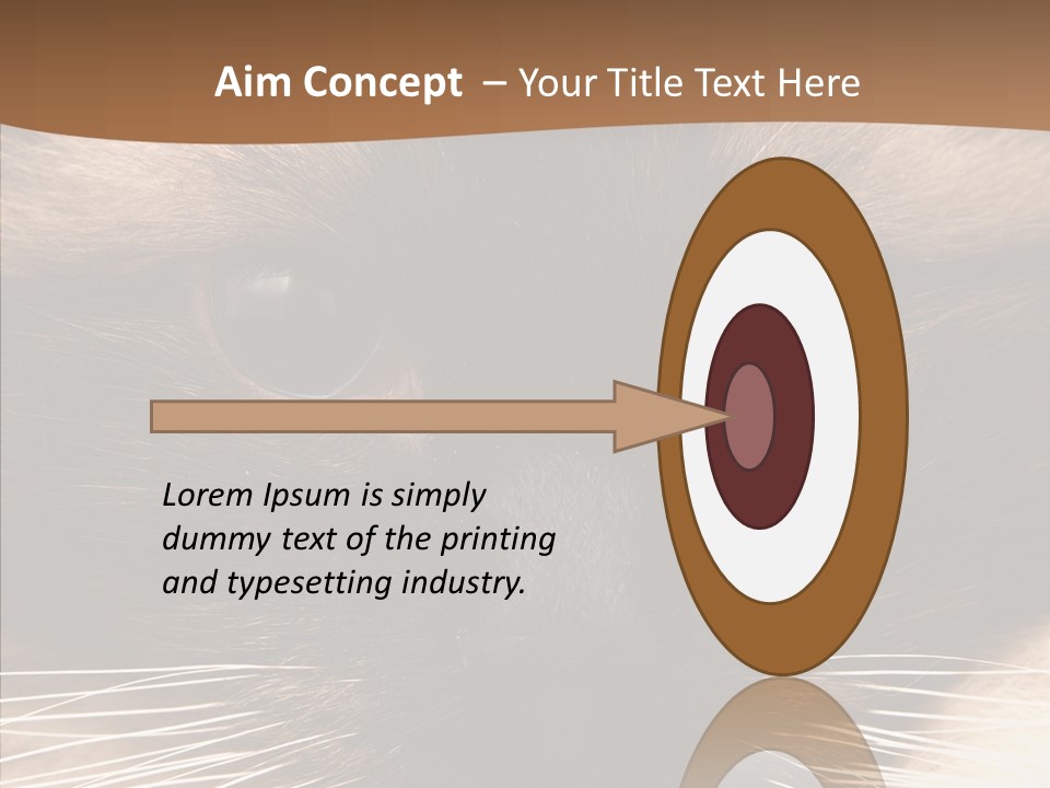 Stare Attention Space PowerPoint Template