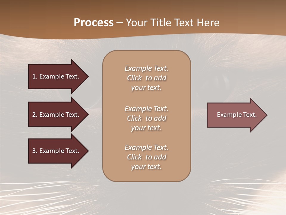 Stare Attention Space PowerPoint Template