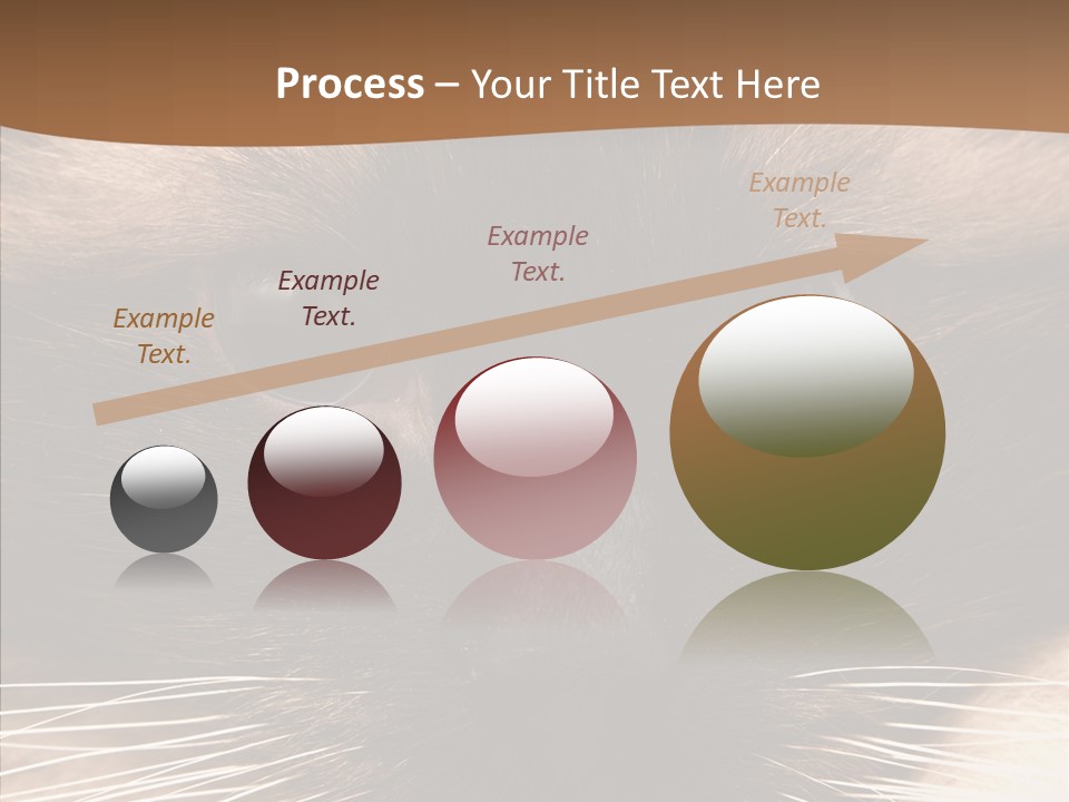 Stare Attention Space PowerPoint Template