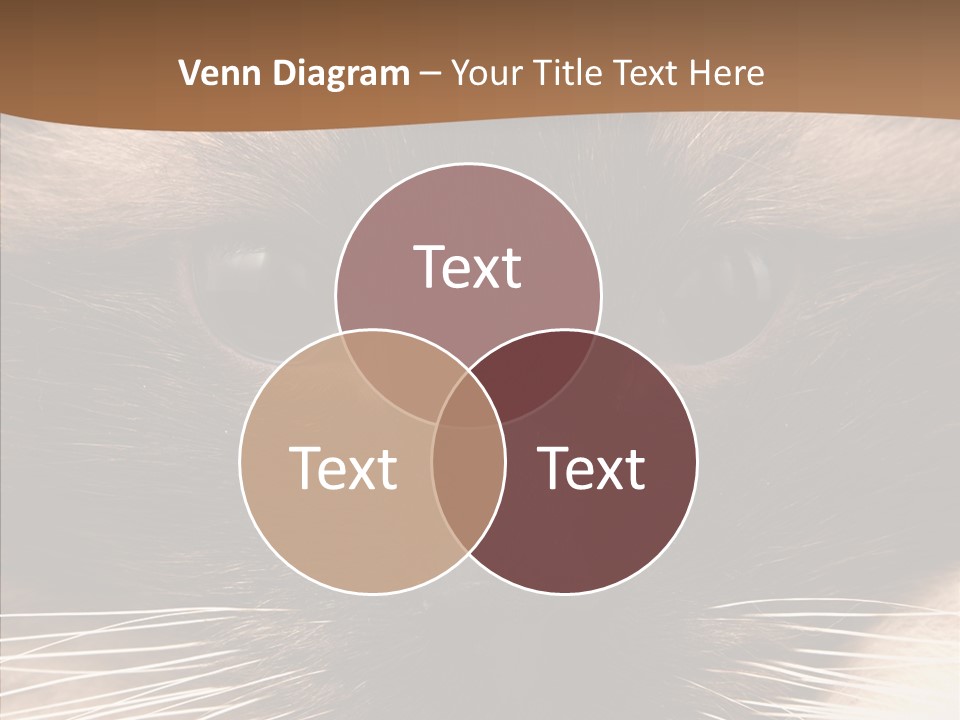 Stare Attention Space PowerPoint Template