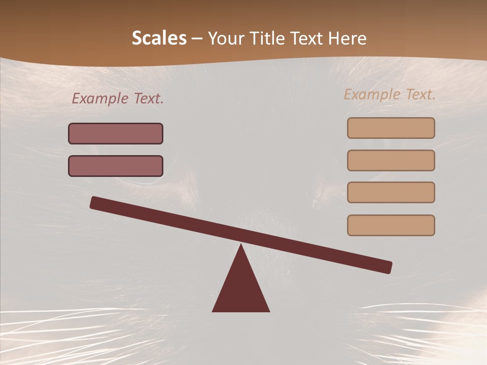 Stare Attention Space PowerPoint Template