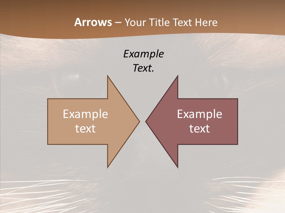 Stare Attention Space PowerPoint Template