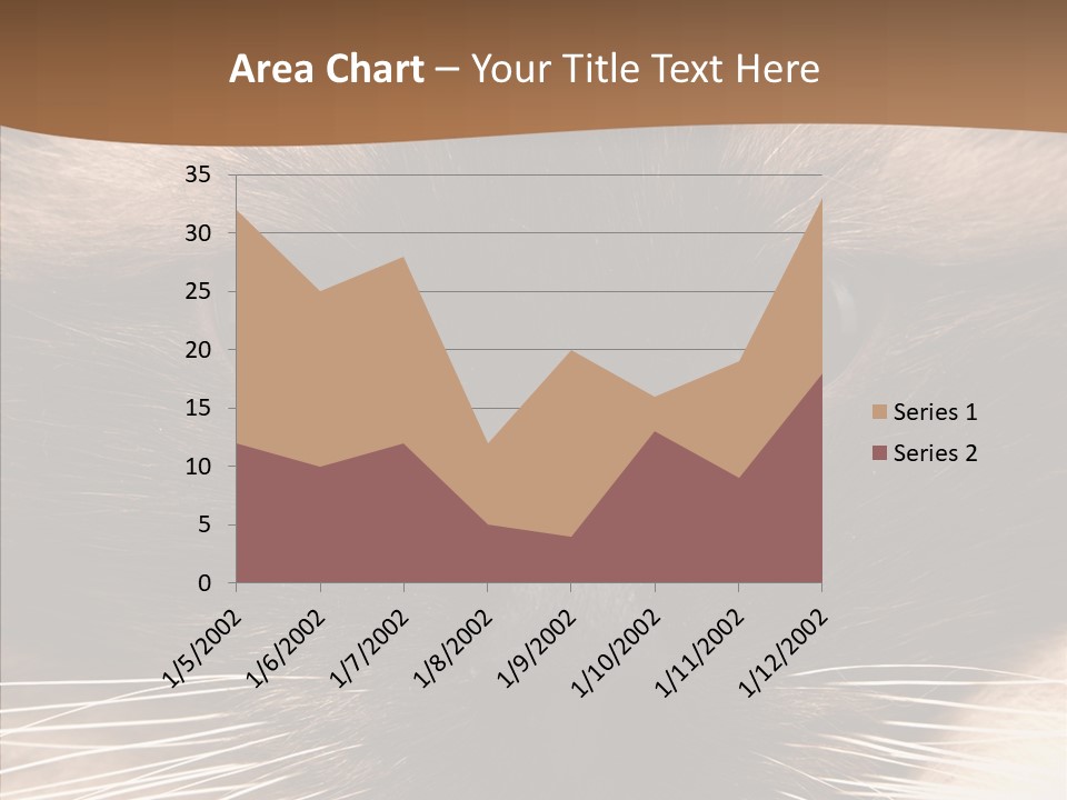Stare Attention Space PowerPoint Template