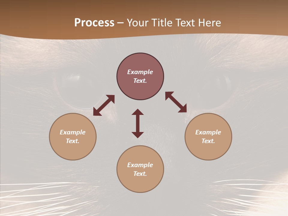 Stare Attention Space PowerPoint Template