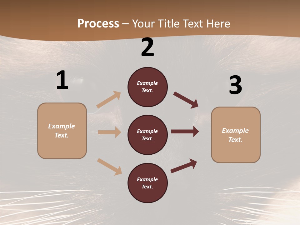 Stare Attention Space PowerPoint Template