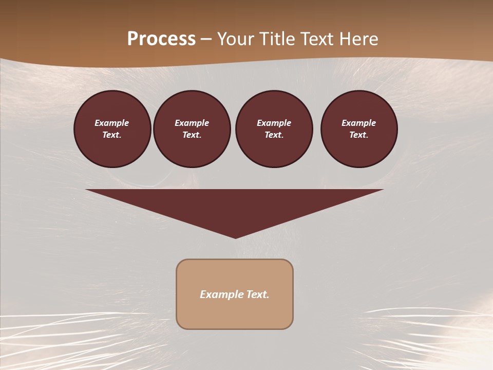 Stare Attention Space PowerPoint Template