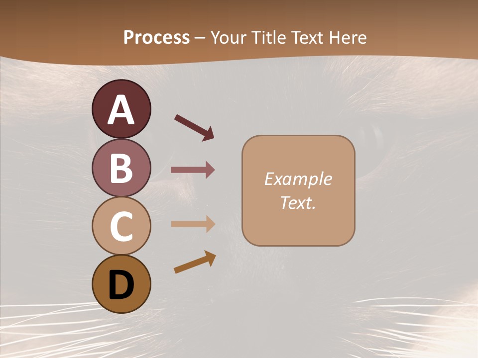 Stare Attention Space PowerPoint Template