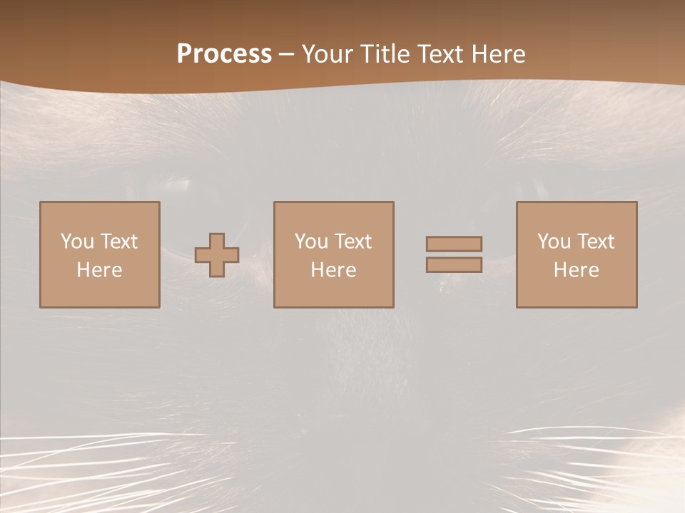 Stare Attention Space PowerPoint Template