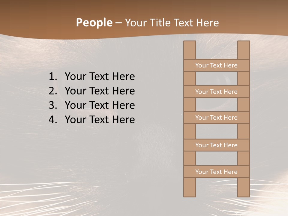 Stare Attention Space PowerPoint Template