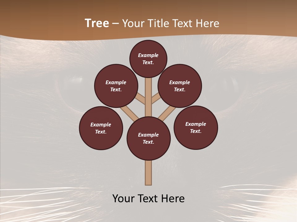 Stare Attention Space PowerPoint Template