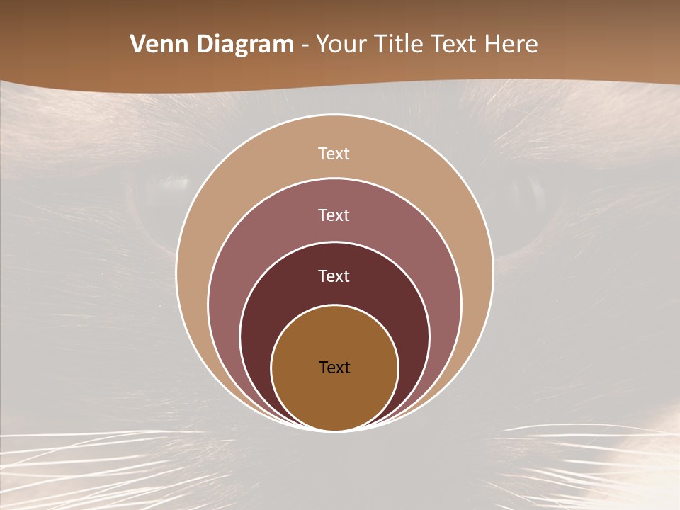 Stare Attention Space PowerPoint Template