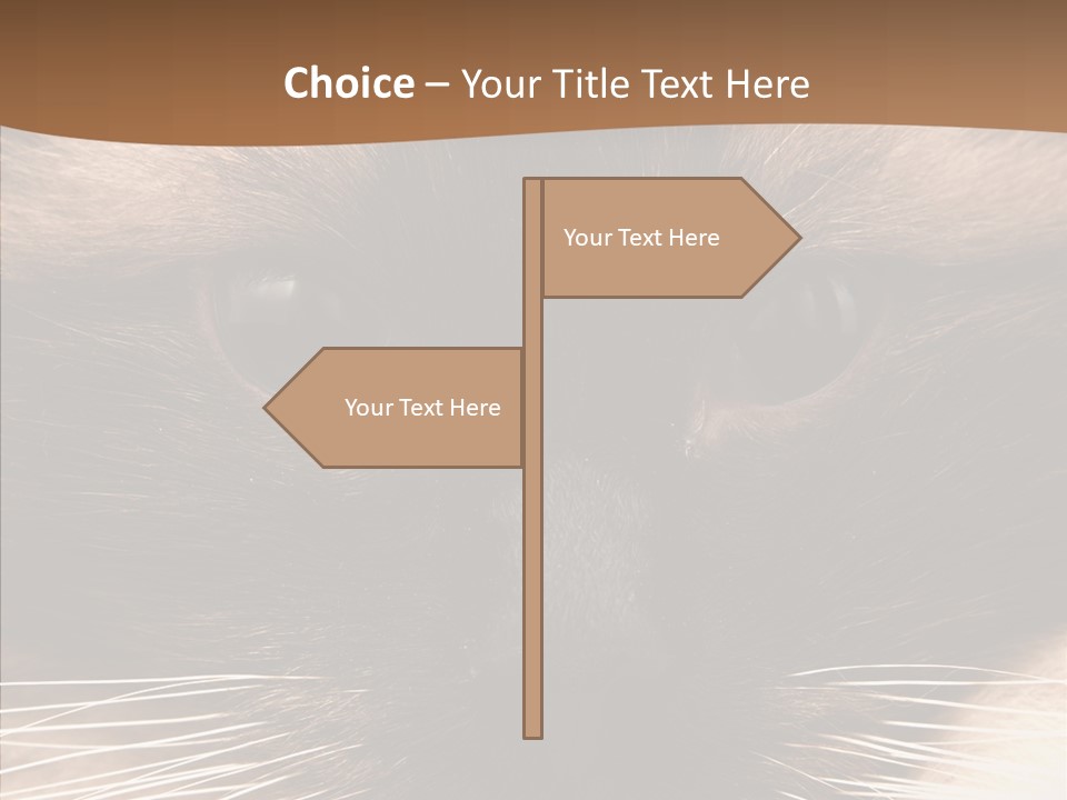 Stare Attention Space PowerPoint Template