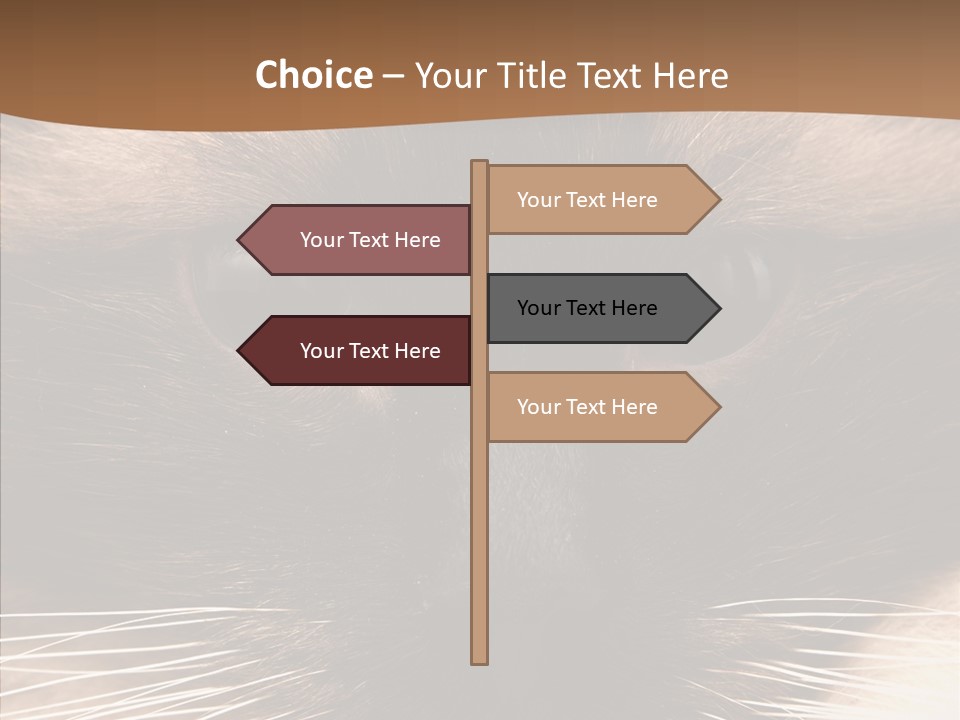 Stare Attention Space PowerPoint Template