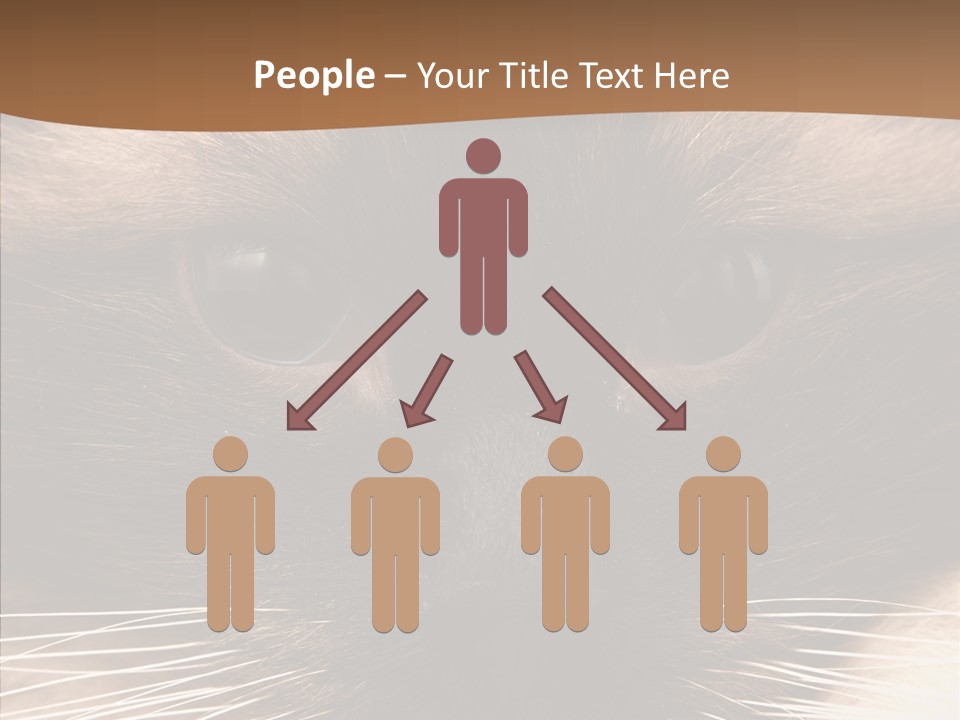 Stare Attention Space PowerPoint Template