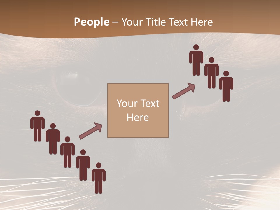 Stare Attention Space PowerPoint Template