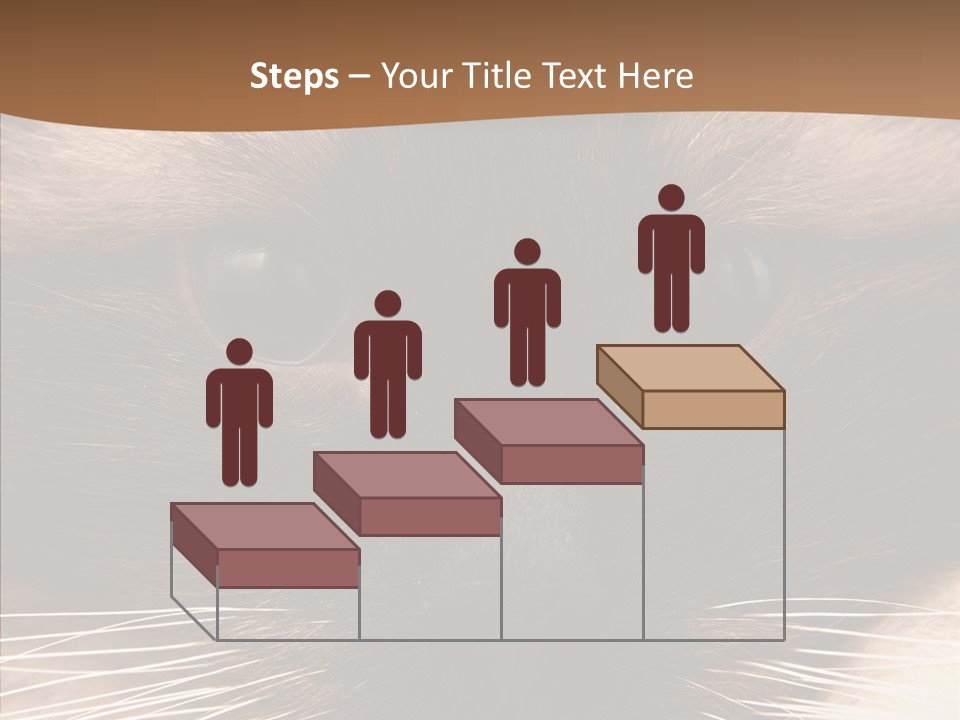 Stare Attention Space PowerPoint Template