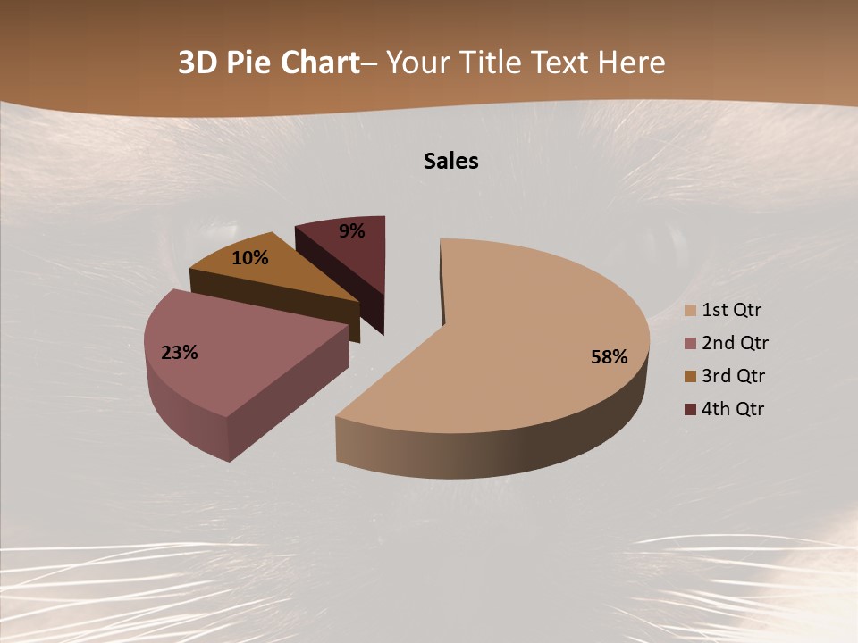 Stare Attention Space PowerPoint Template