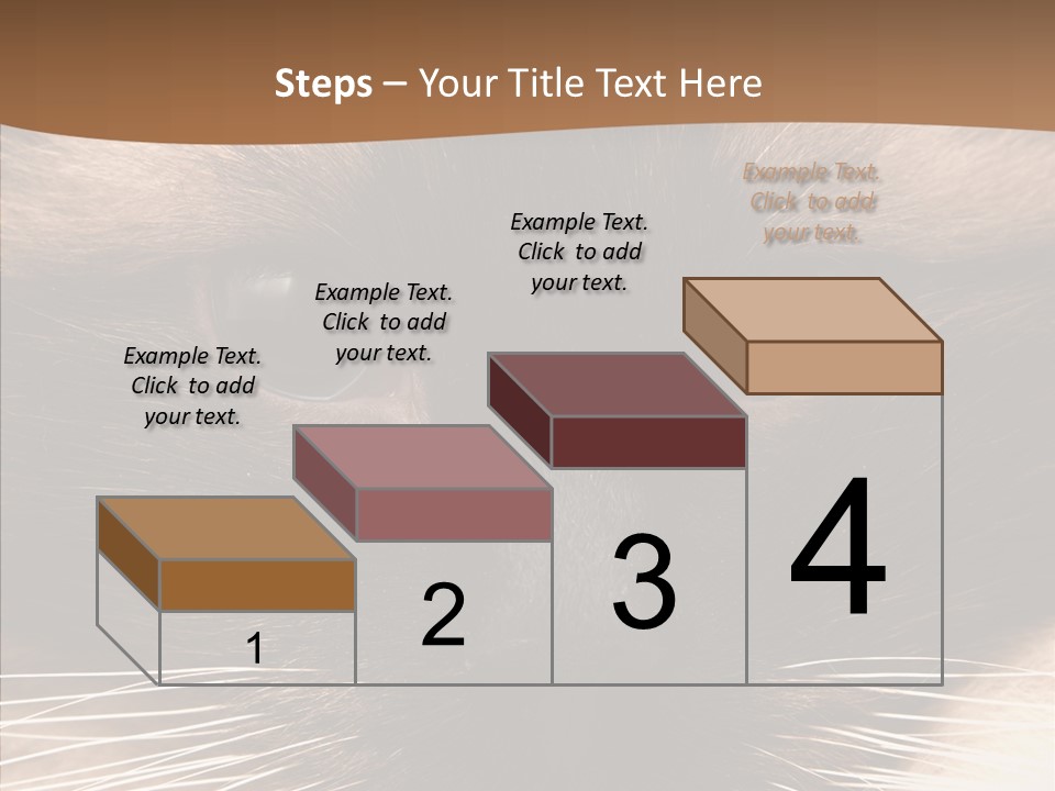 Stare Attention Space PowerPoint Template