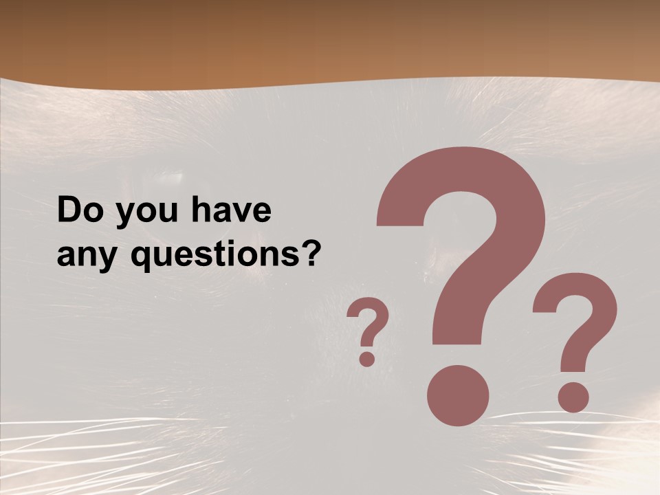 Stare Attention Space PowerPoint Template