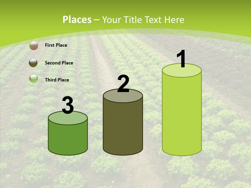 Outdoors Farmland Vitamin PowerPoint Template