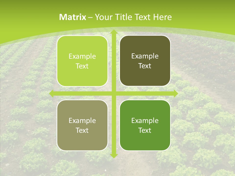 Outdoors Farmland Vitamin PowerPoint Template