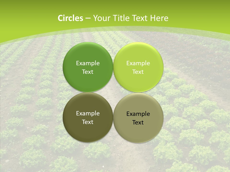 Outdoors Farmland Vitamin PowerPoint Template