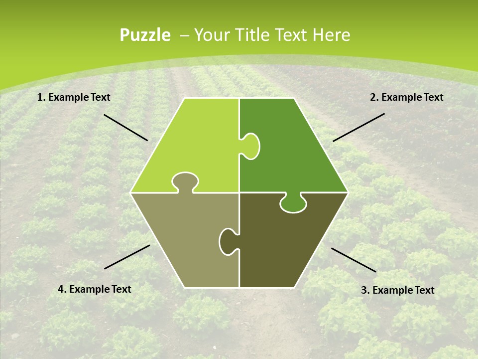 Outdoors Farmland Vitamin PowerPoint Template