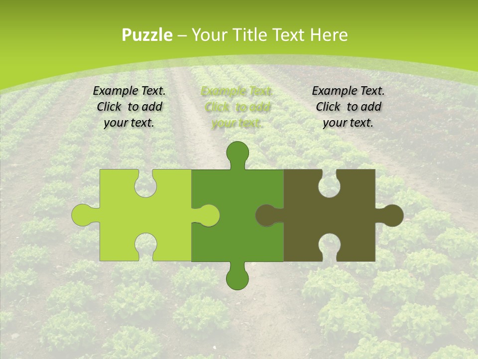 Outdoors Farmland Vitamin PowerPoint Template