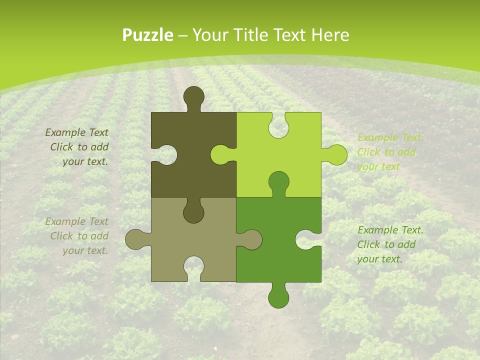 Outdoors Farmland Vitamin PowerPoint Template