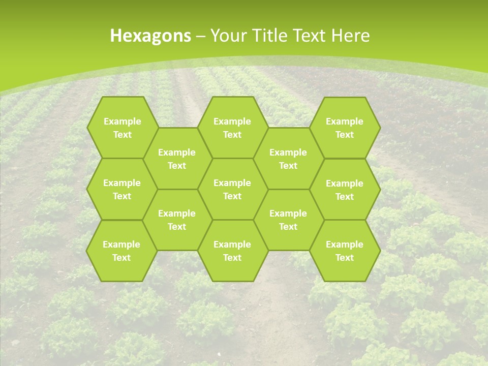 Outdoors Farmland Vitamin PowerPoint Template