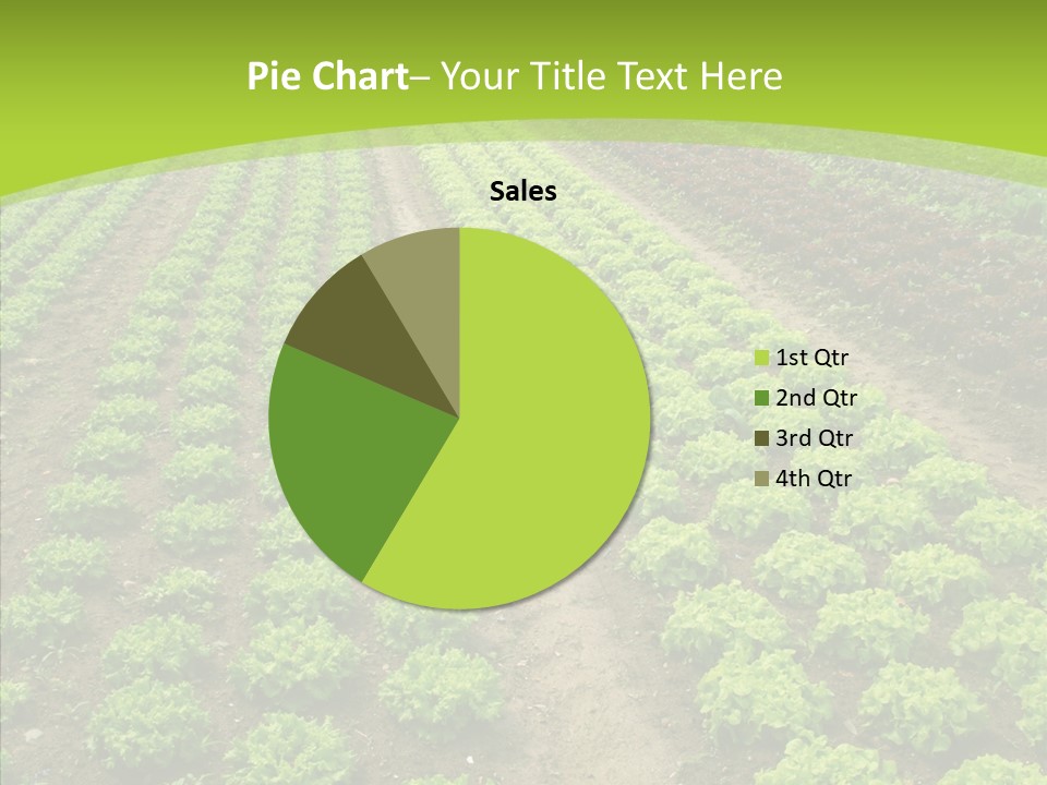 Outdoors Farmland Vitamin PowerPoint Template