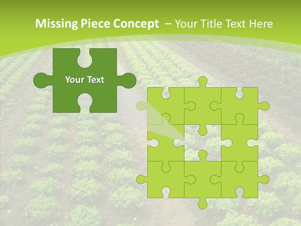 Outdoors Farmland Vitamin PowerPoint Template