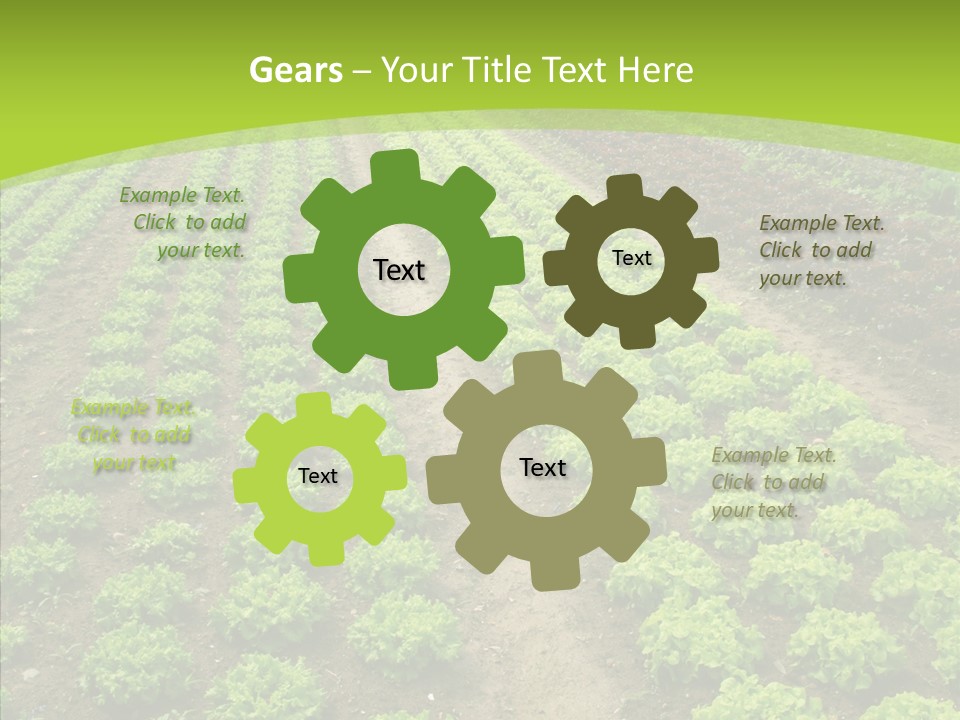 Outdoors Farmland Vitamin PowerPoint Template