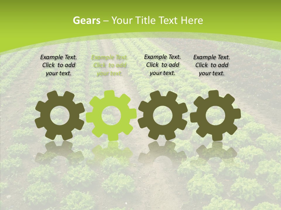 Outdoors Farmland Vitamin PowerPoint Template